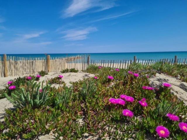 Maison Plein Pied Proximite Plage Et Commerce - 5Sir33 Le Barcarès Exterior foto